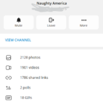Naughty America ( 1900+ English Videos)